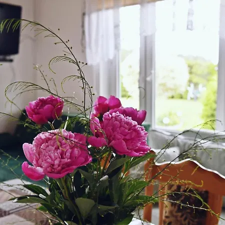 Wczasy U Gospodarza Na Kaszubach Holiday home Kistowo