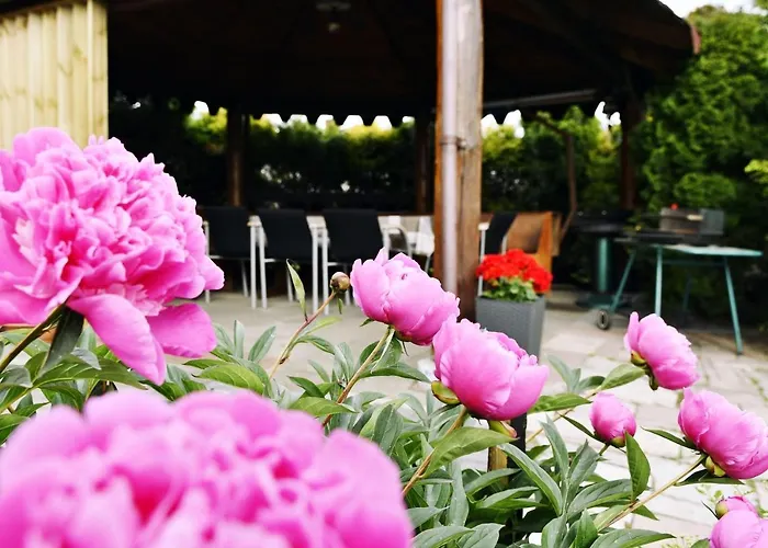 Дом отдыха Wczasy U Gospodarza Na Kaszubach Kistowo