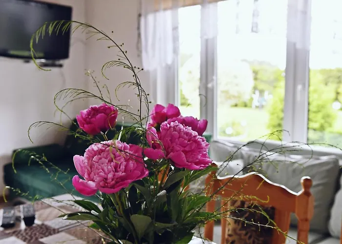 Wczasy U Gospodarza Na Kaszubach Дом отдыха Kistowo